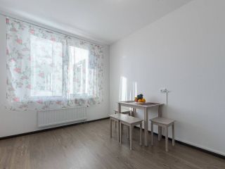 Apartment on Energetikov Avenue