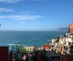 Arancio Riomaggiore Italy