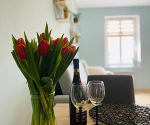 Apartament Bankowa Jelenia Gora Poland