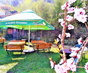 Leyla Guesthouse Castel Brasov Romania