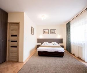 Vila Nicopole Art & Wine Brasov Romania