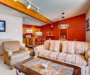 Updated 1 Br - Ski-In/Ski-Out Access Condo Mount Crested Butte United States