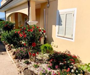 Dolce Hibiscus Olbia Italy