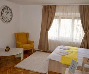 Central apartment with BIG room, WiFi, TV, Washer Timisoara Romania