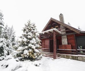 Cabana - Vila Crinul Poiana Brasov Poiana Brasov Romania