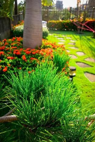 صورة الفندق 5