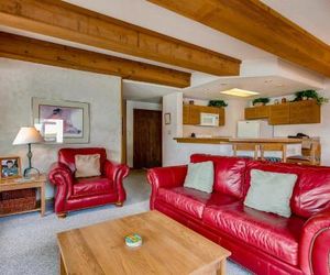 2 Br With Views Of Wood Creek & Mountains Condo Crested Butte United States