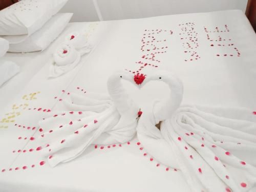 صورة الفندق 16