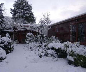 Chalet Reewold Putten Netherlands