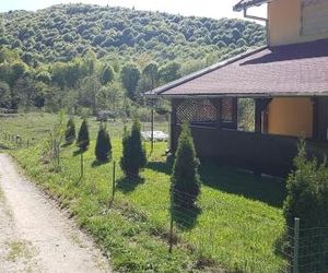 Casa Alina Cirtisoara Romania
