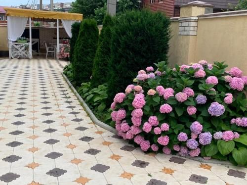 صورة الفندق 17