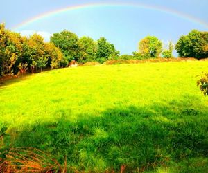 Ceridwen Glamping, double decker bus and Yurts Llandysul United Kingdom