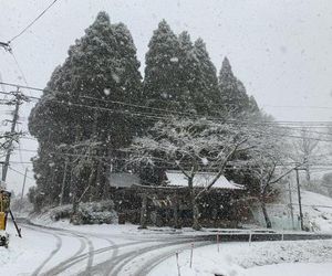 Guesthouse Kurihai Beppu Japan
