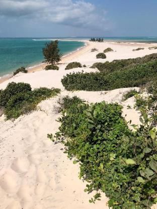 صورة الفندق 3