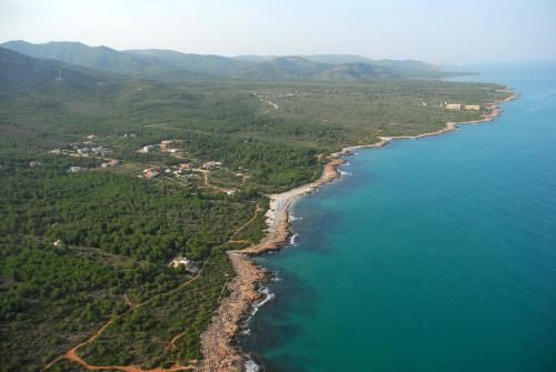 صورة الفندق 7