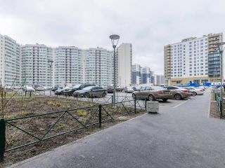 Невский берег