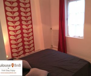Capitole Remusat - Comfortable attic flat, city heart, charming and quiet Toulouse France