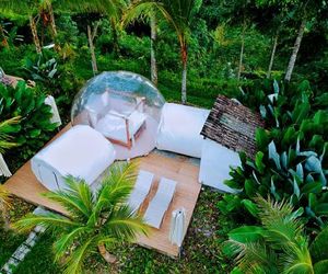 Jungle Bubble Lodge Tegallalang Indonesia