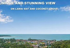 Awesome sea view pool studio A - 2 people - Lamai Bay View - Koh Samui Lamai Beach Thailand