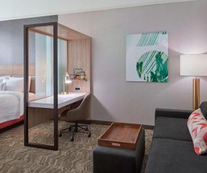 SpringHill Suites by Marriott East Lansing University Area East Lansing United States