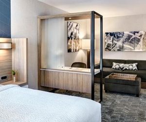 SpringHill Suites by Marriott New York Queens/Jamaica Queens United States