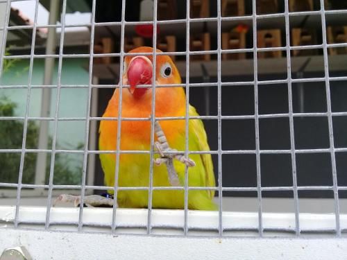 صورة الفندق 21
