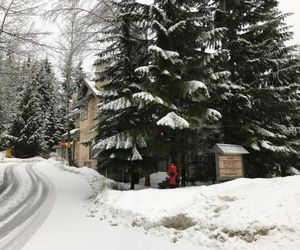 #11 Forest Trails Whistler Canada