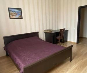 Apartment near the airport Plodorodnyy Russia