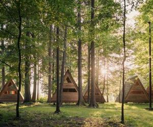 Forest Camping Mozirje Mozirje Slovenia