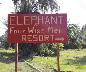 Elephant and Four wise men resort Havelock Island India