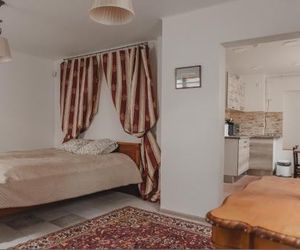 Ugnies Kaukes Apartament Kęstučio gatvė 17 Vilnius Lithuania