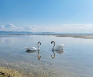 " Sunshine am See " Friedrichshafen Germany