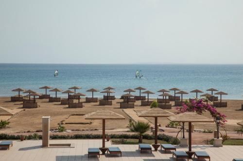 صورة الفندق 17