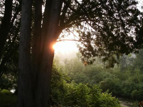 صورة الفندق 21