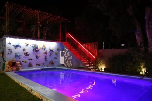 صورة الفندق 24