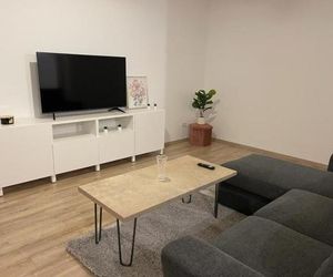 Nordic Apartment Style Timisoara Romania