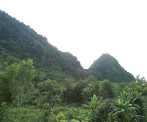 Tams Homestay Phong Nha Vietnam
