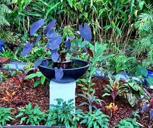 Montville B&B Montville Australia