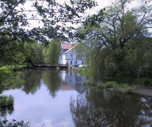 Mühlenteich in der Oldenstädter Wassermühle Uelzen Germany