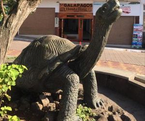 New Galapagos Hostelling Puerto Ayora Ecuador