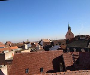 Colmar Historic Center - Appartement PETIT CATHEDRALE 2 - BookingAlsace Colmar France