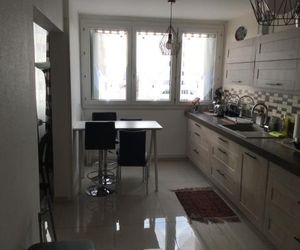 Appartement Laurent Bonnevay Villeurbanne France