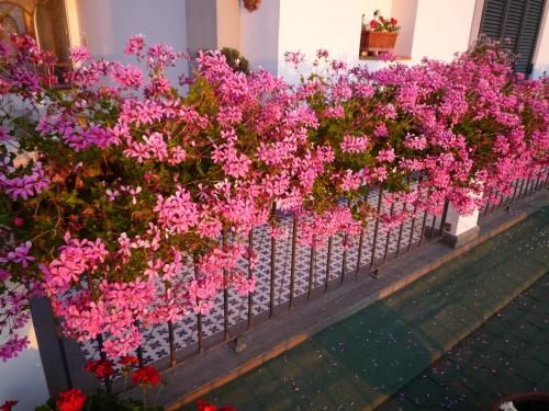 صورة الفندق 22
