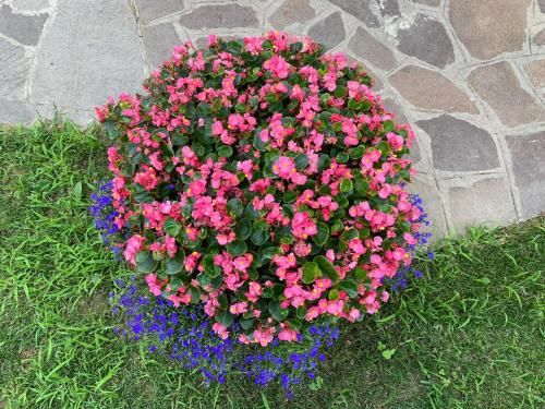 صورة الفندق 7
