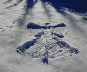 Chalupa Podolina Terchova Slovakia