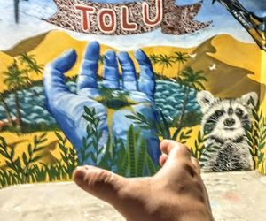 Oasis de Tolú Tolu Colombia
