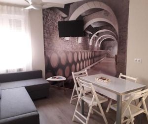 Apartamento acogedor en tierra de vinos Logrono Spain