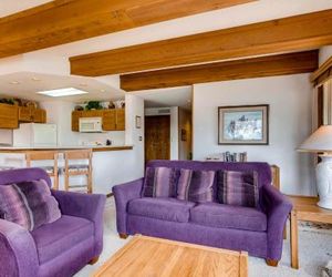 2 Br Sleeps 5 People With Mountain Views Condo Crested Butte United States
