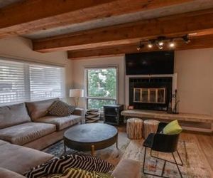2 Br Residence With Huge, Sectional Couch Condo Crested Butte United States