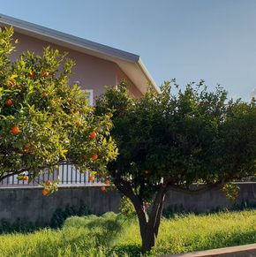 NearBy Hotel